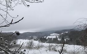 Schwedenhaus Uplandalm Willingen